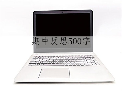 期中反思500字